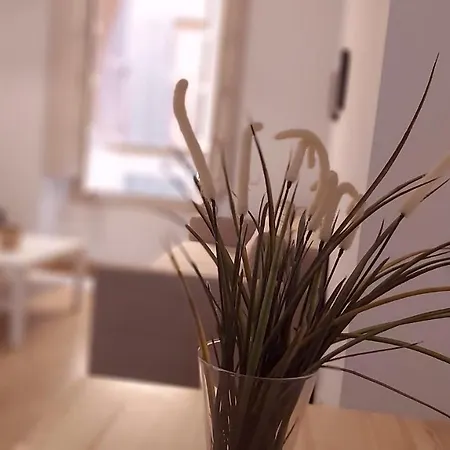 Ferienwohnung Del Parque Flats Mitjana Málaga Exterior foto